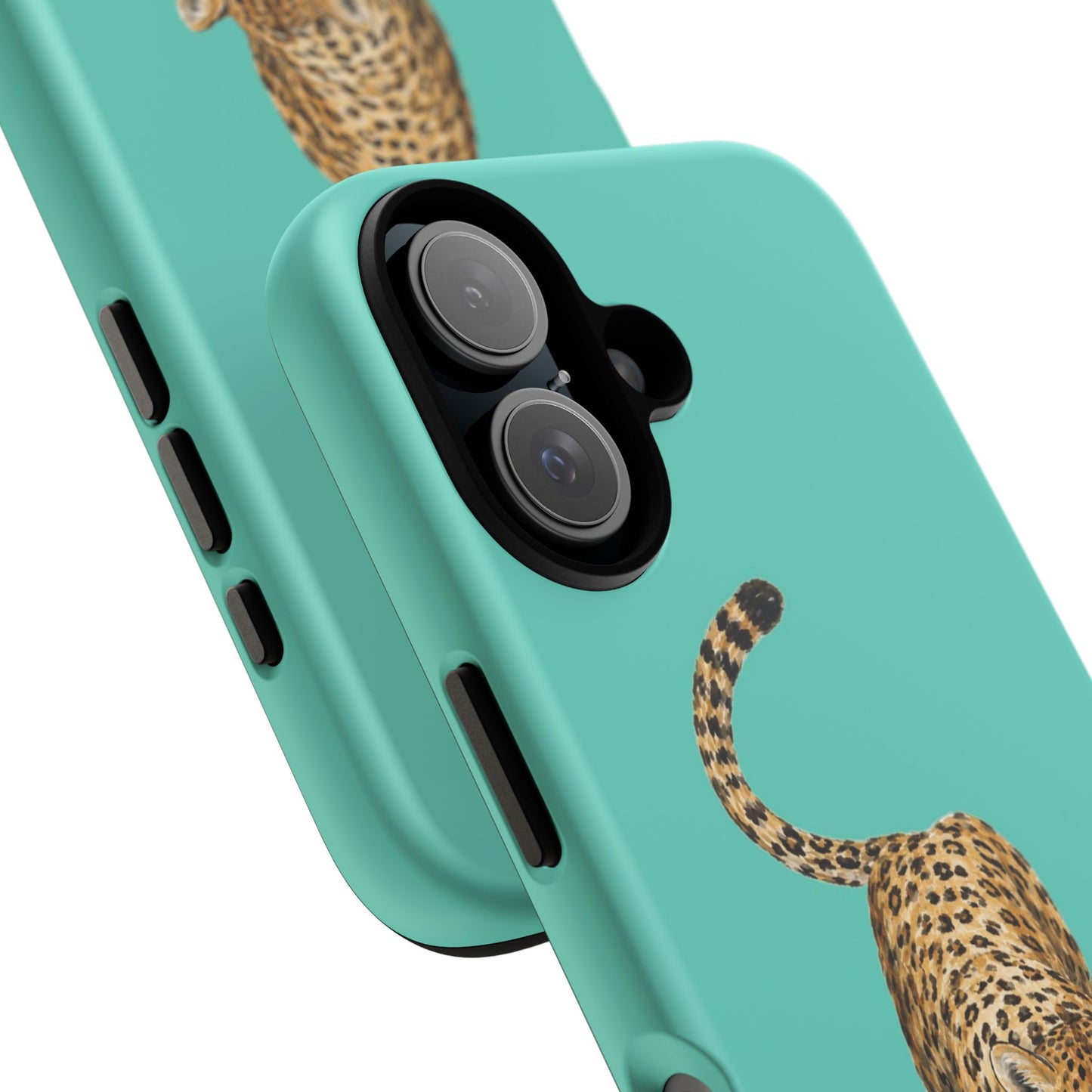 Cheetah