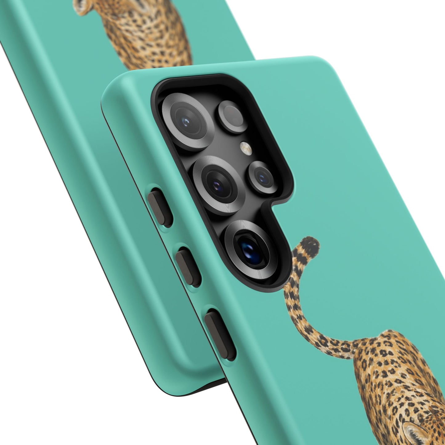 Cheetah