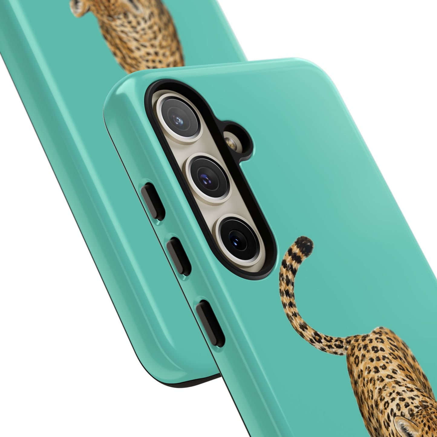 Cheetah