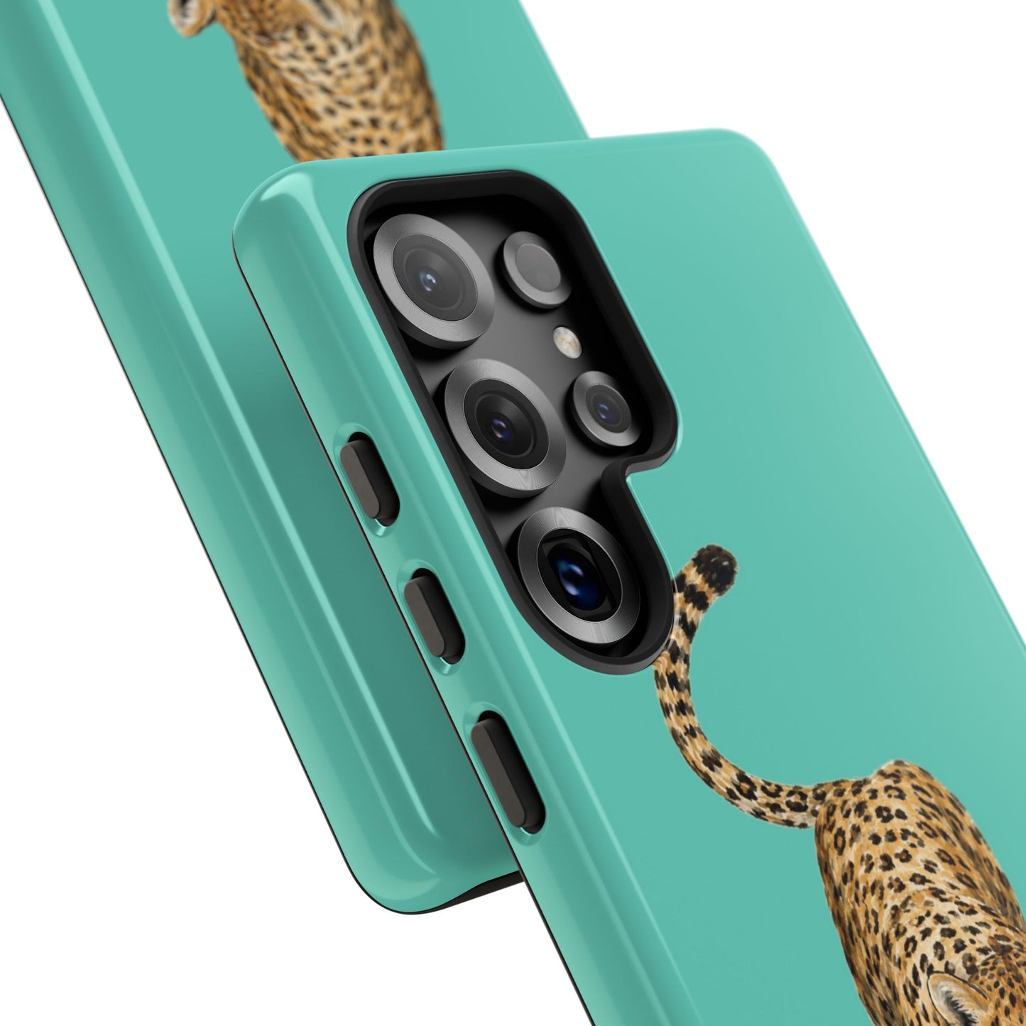 Cheetah