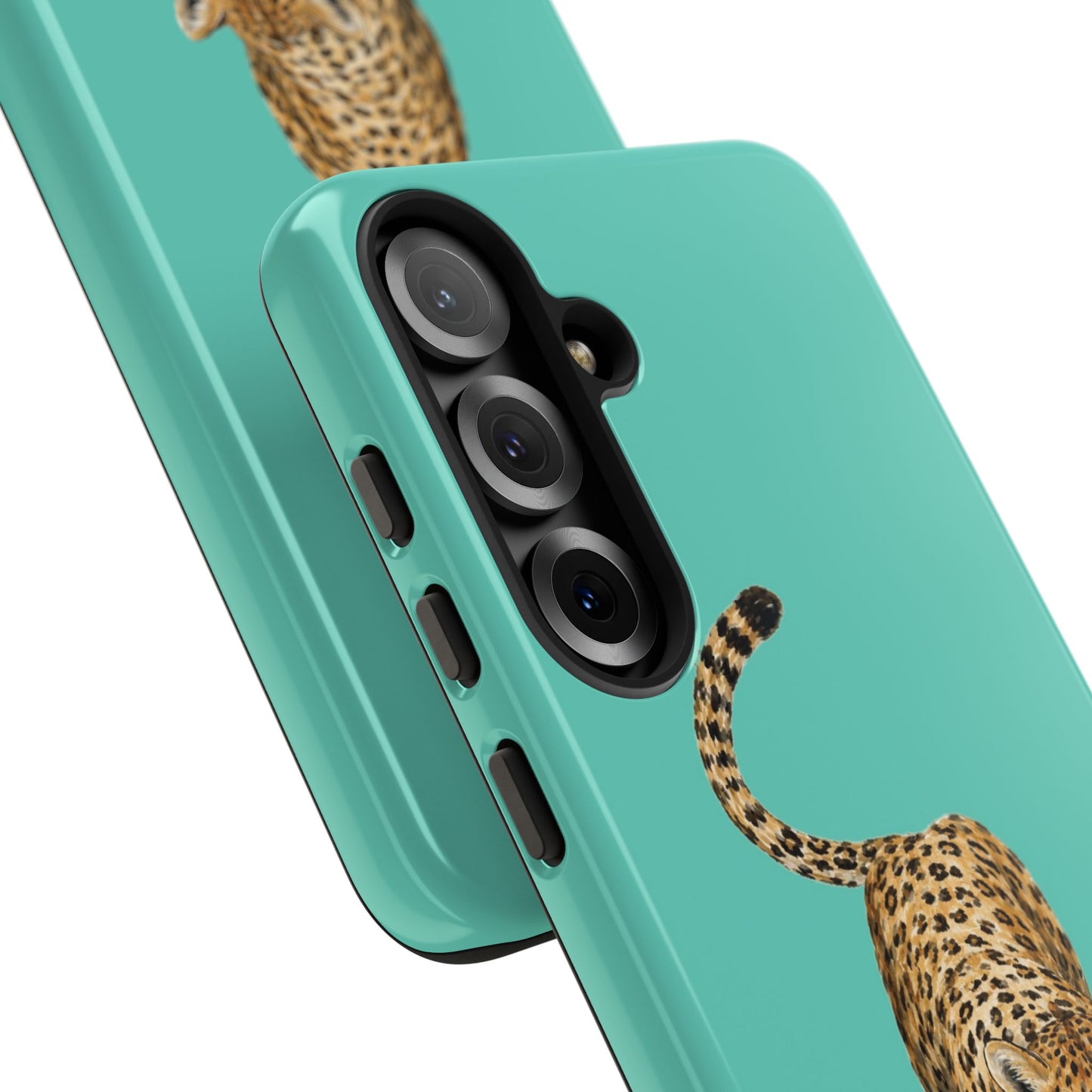 Cheetah