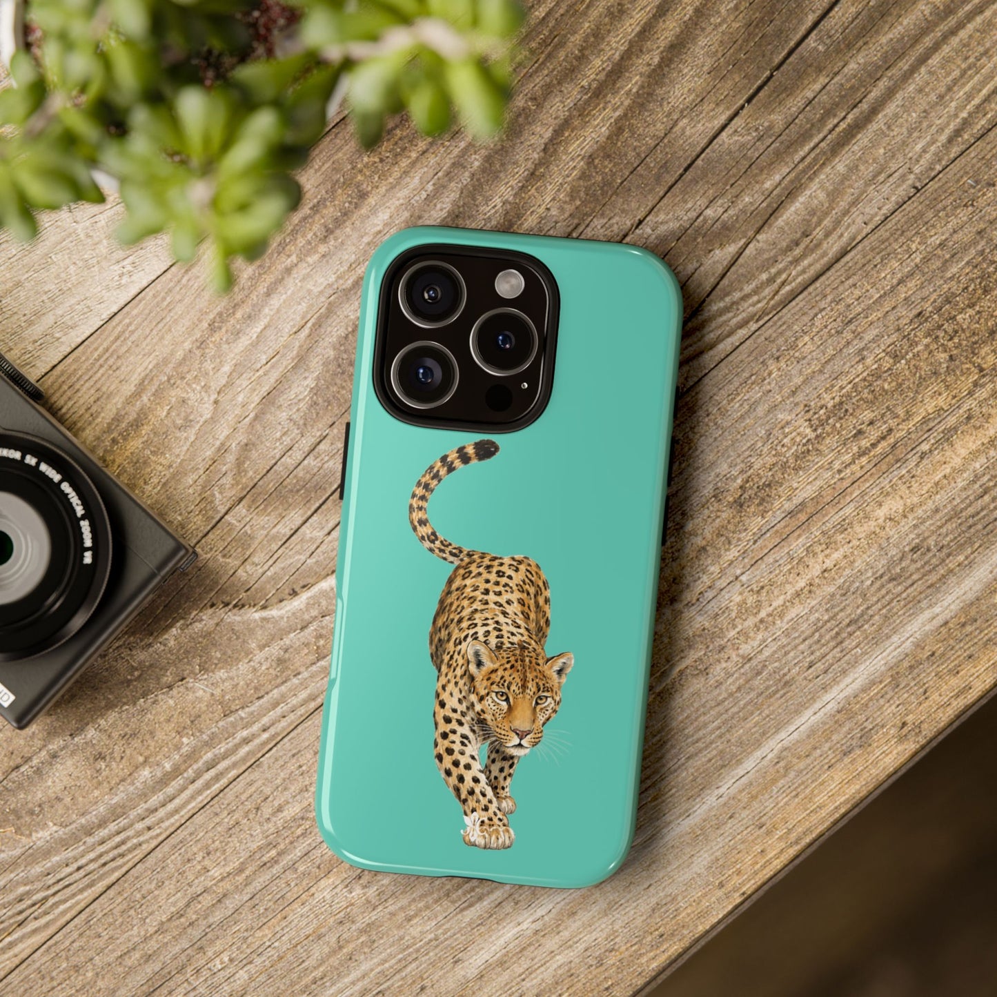 Cheetah