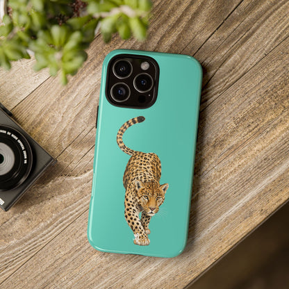 Cheetah