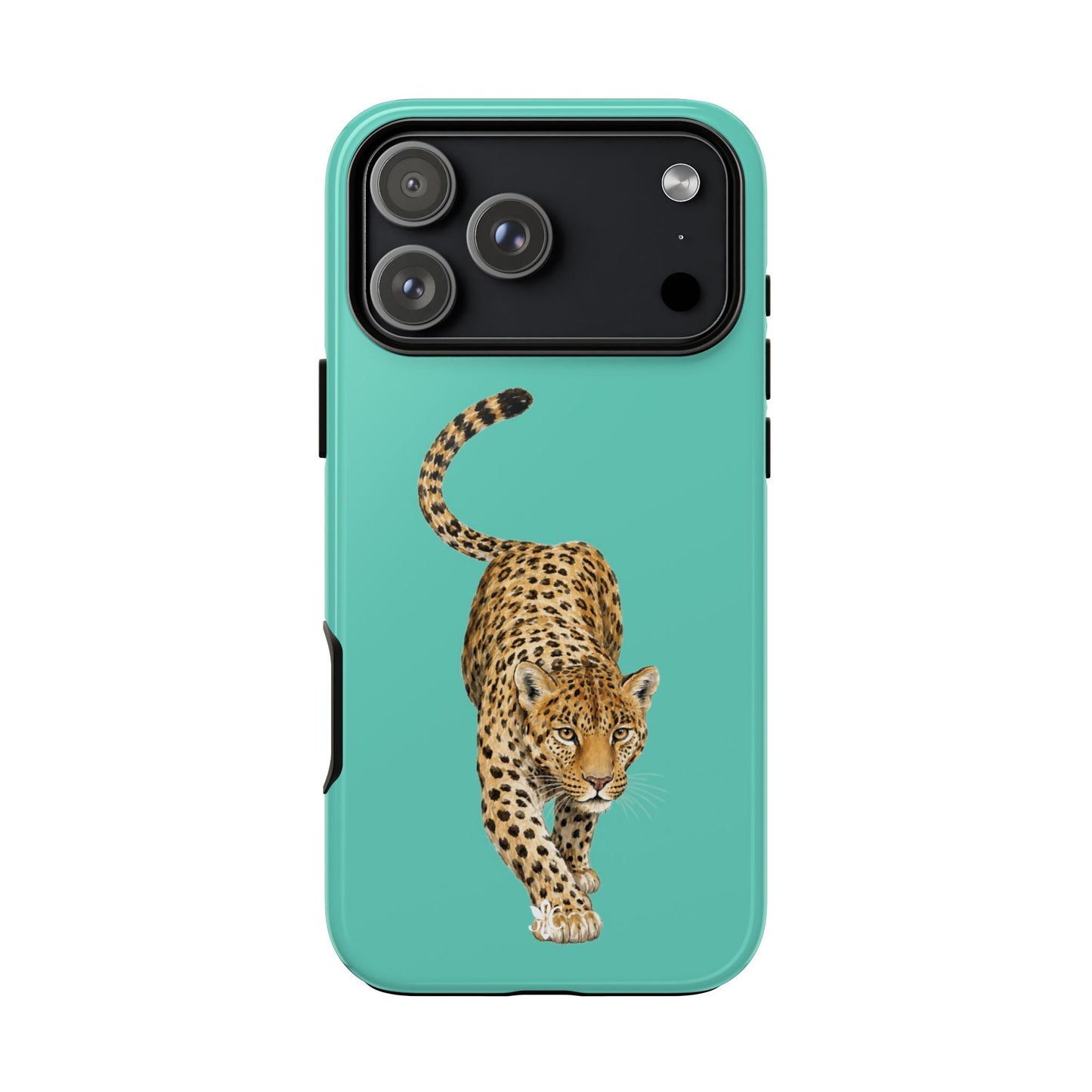 Cheetah