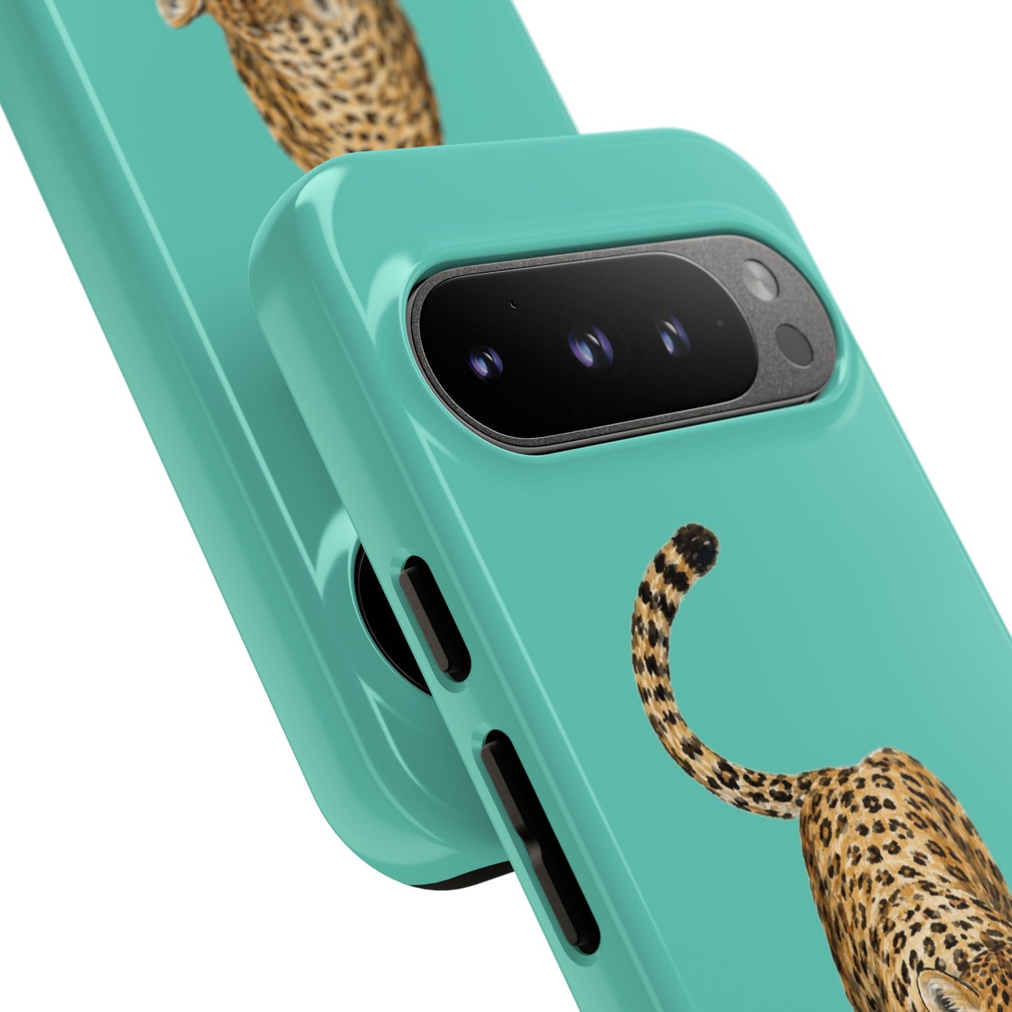 Cheetah