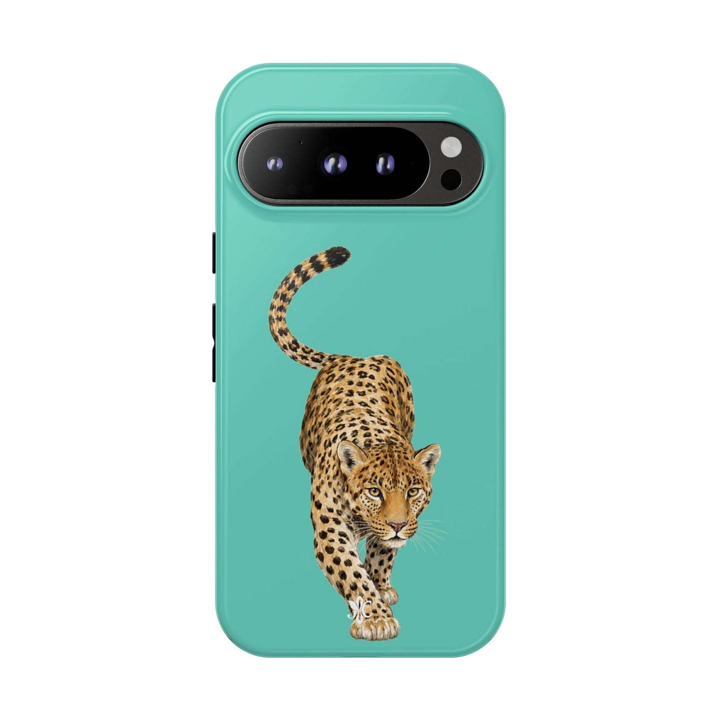 Cheetah