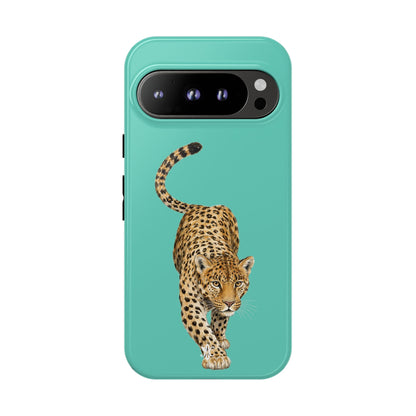 Cheetah