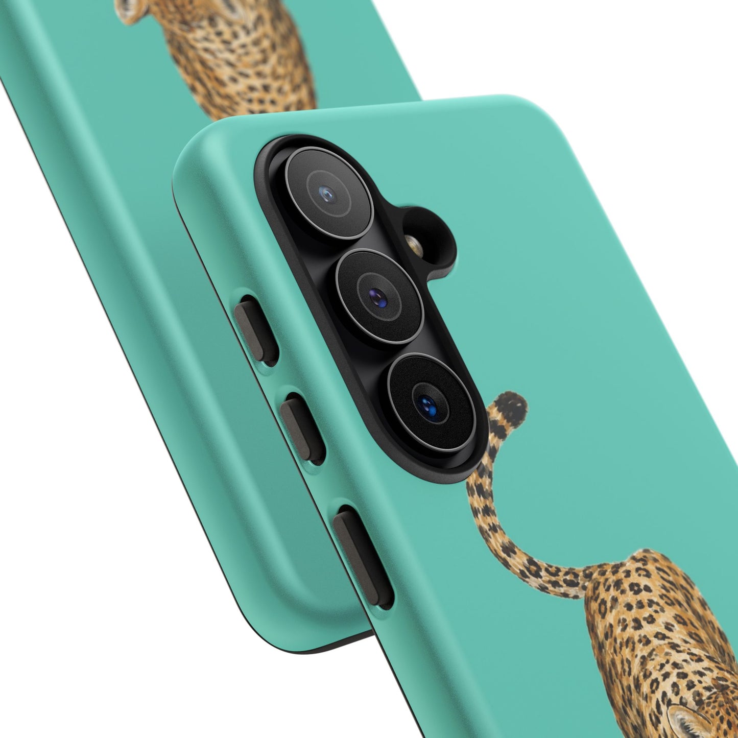 Cheetah