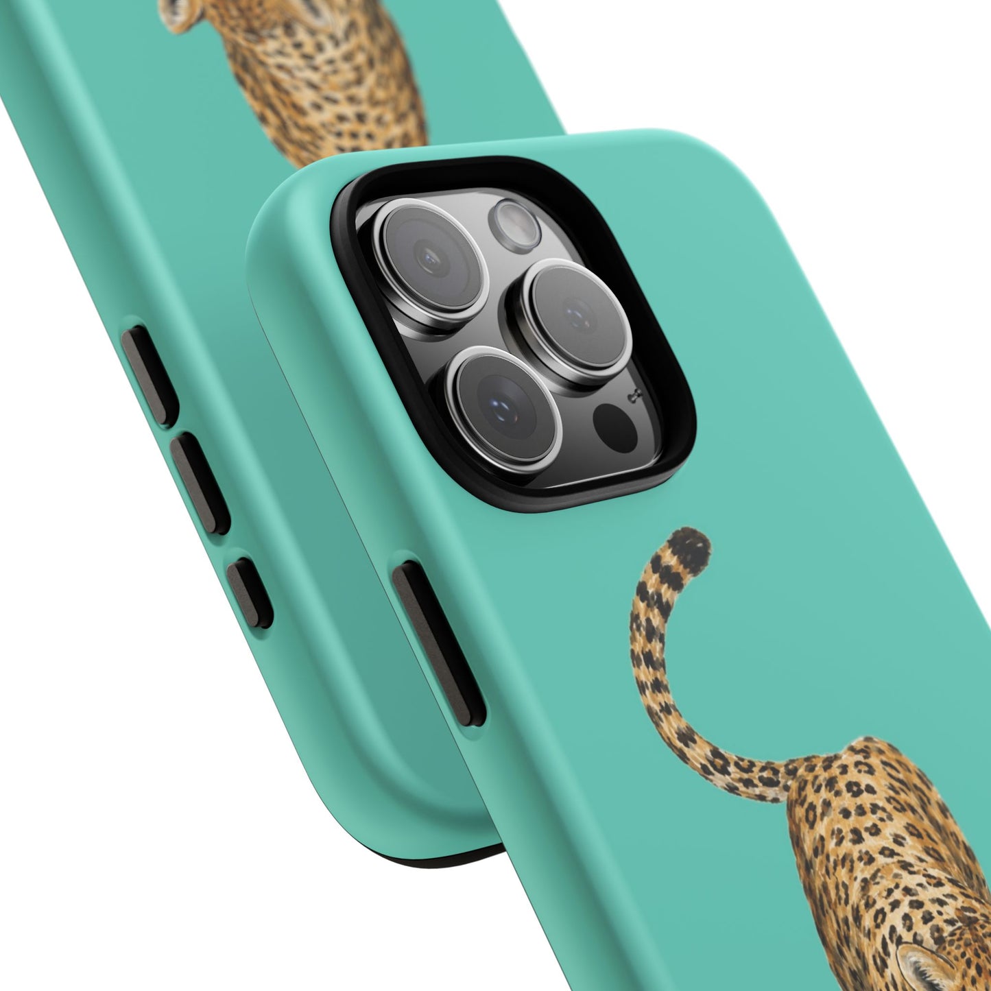 Cheetah