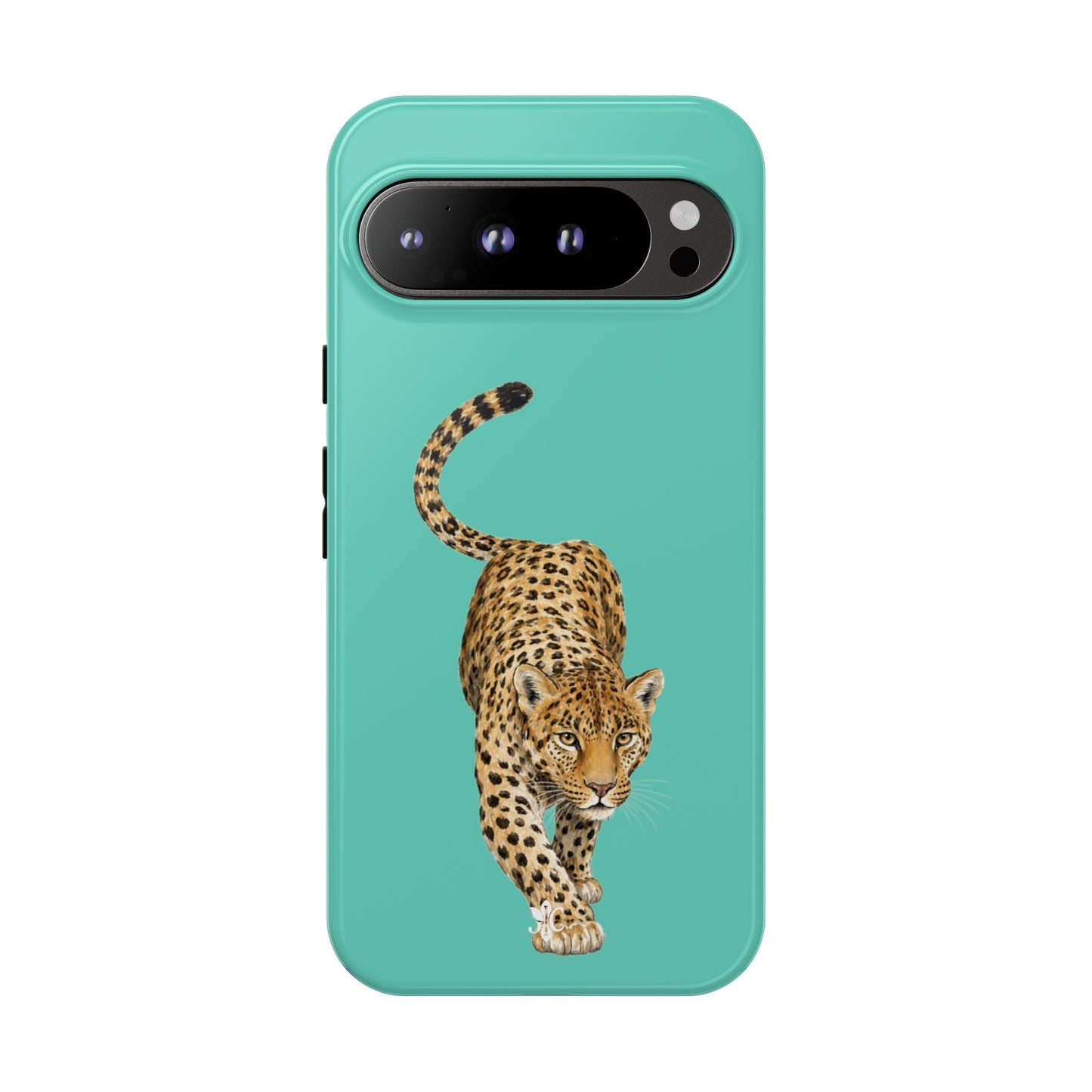 Cheetah