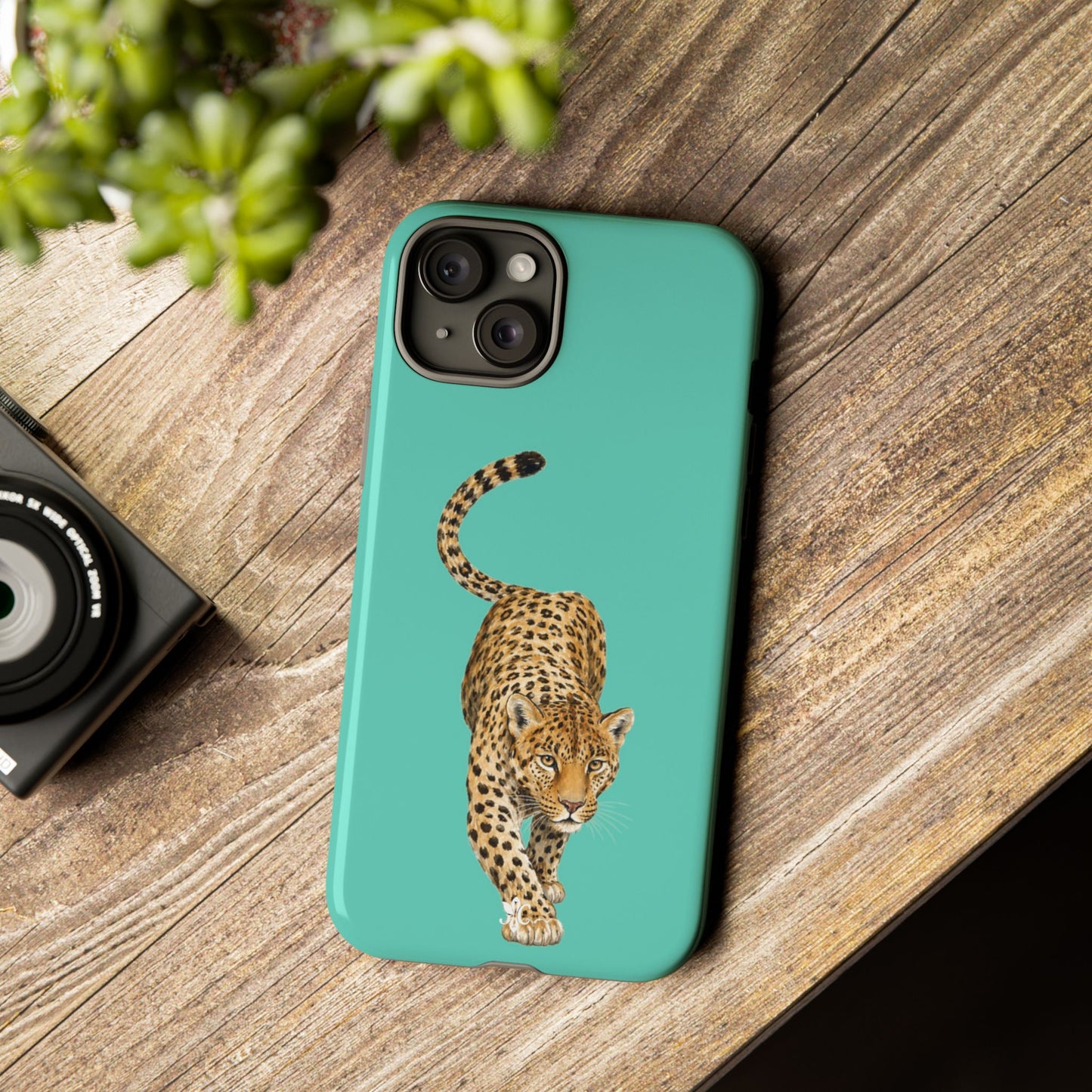 Cheetah