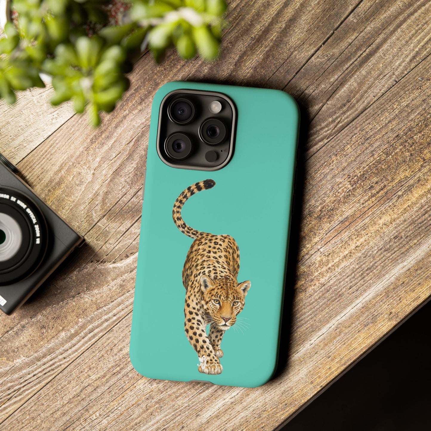Cheetah