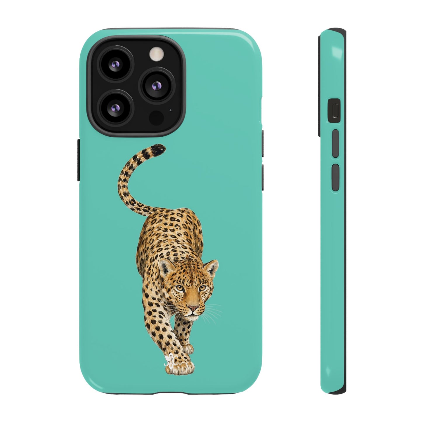 Cheetah