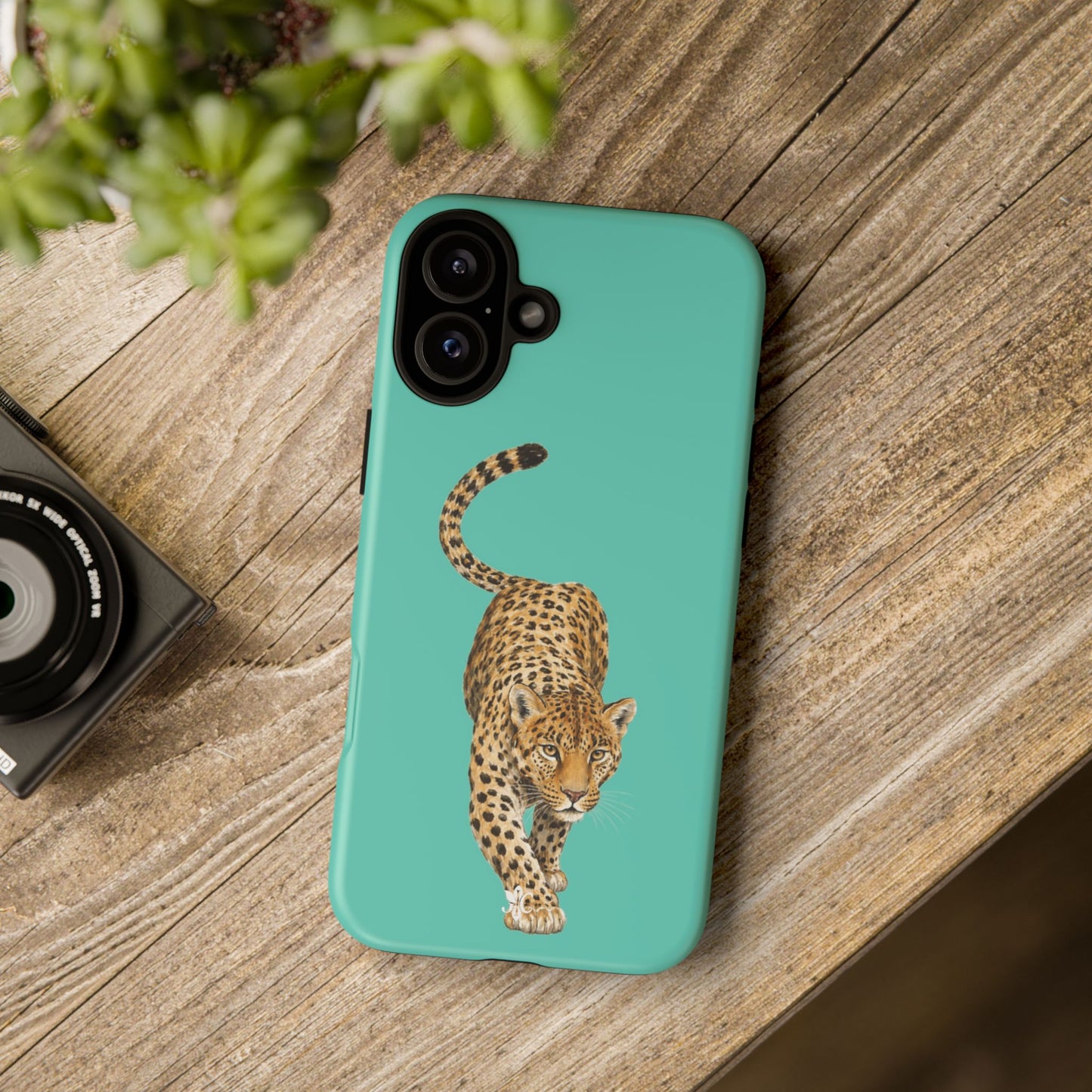 Cheetah