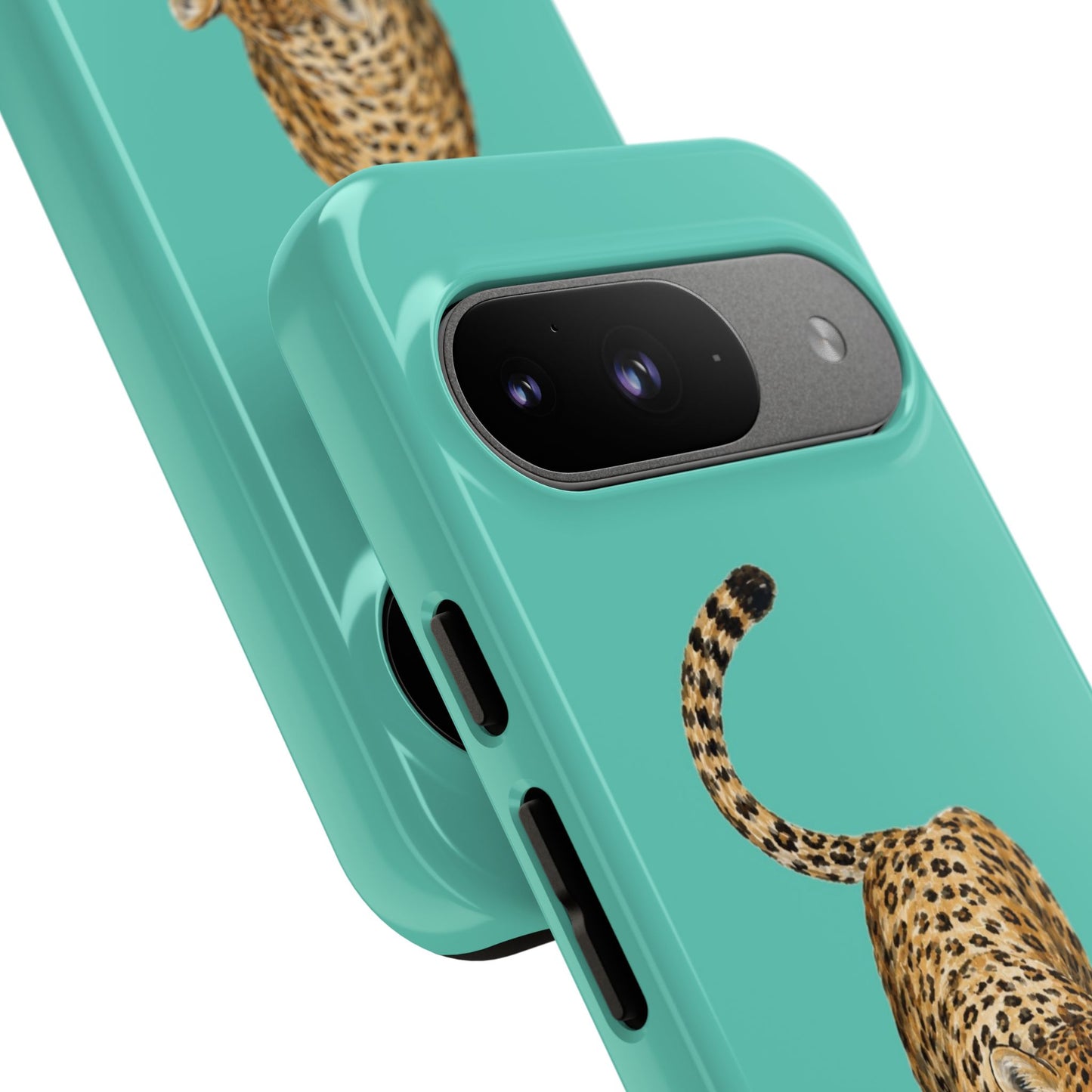 Cheetah