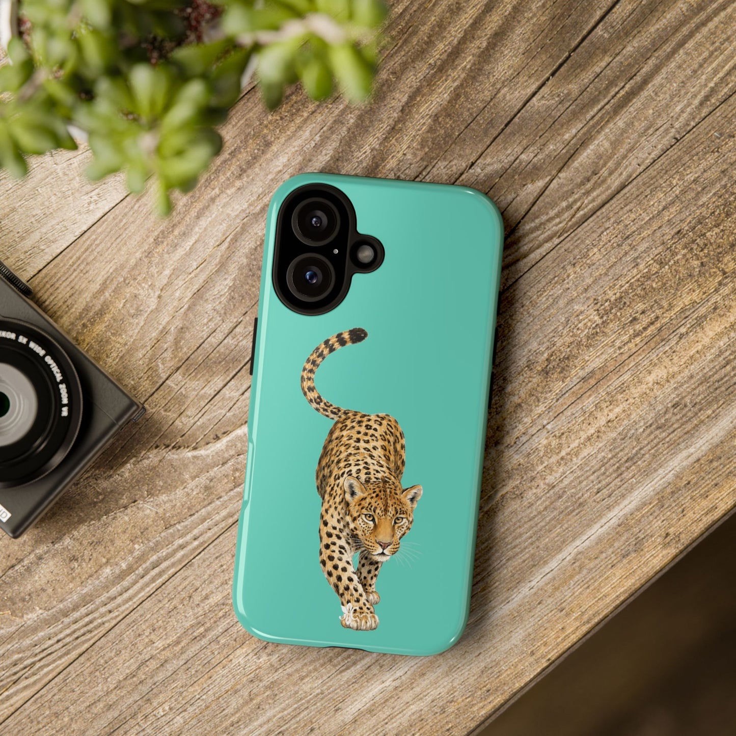 Cheetah