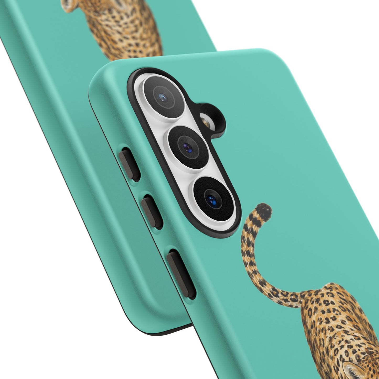 Cheetah