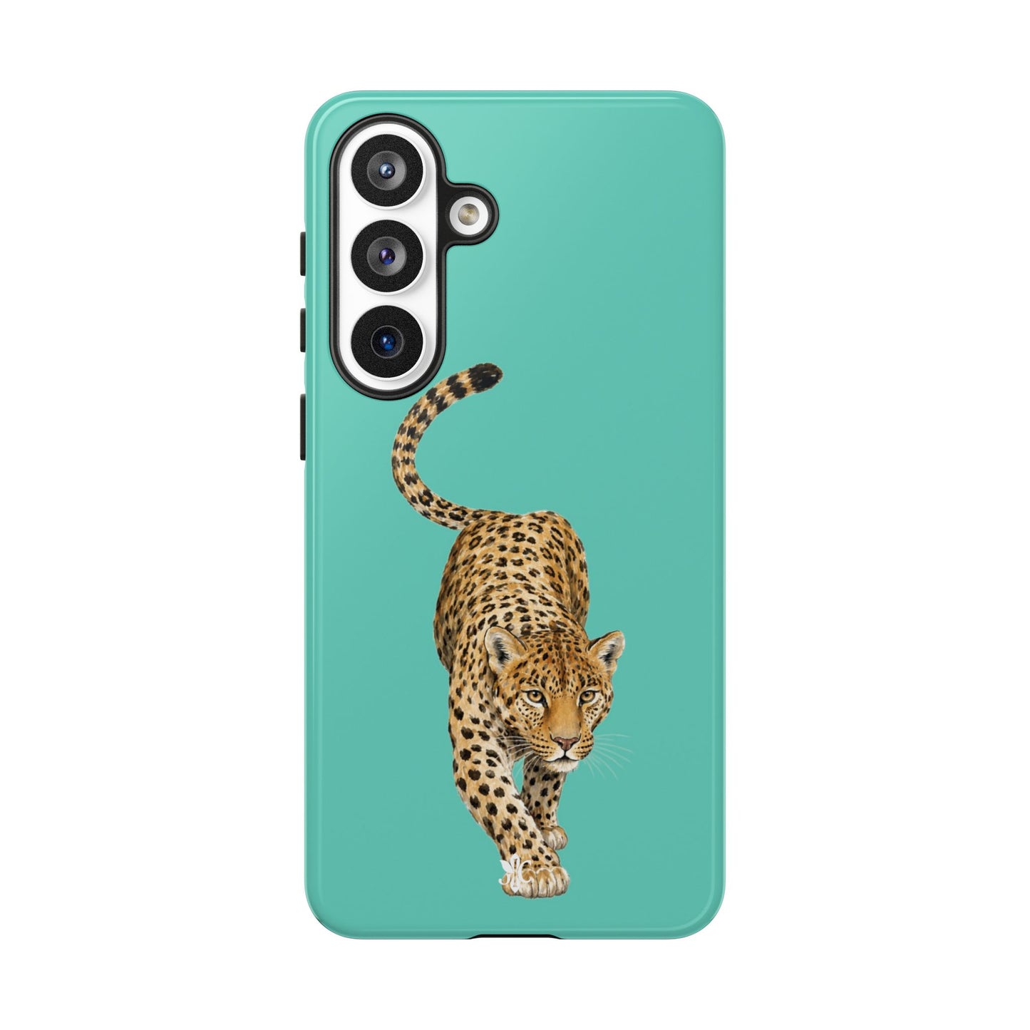 Cheetah