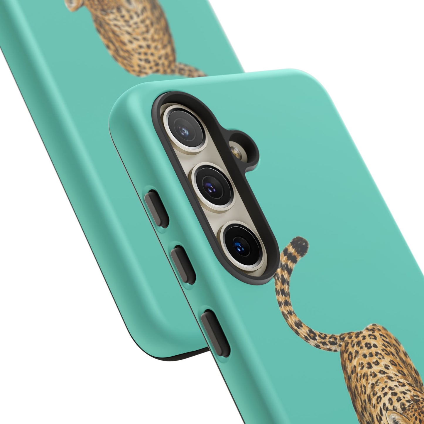 Cheetah