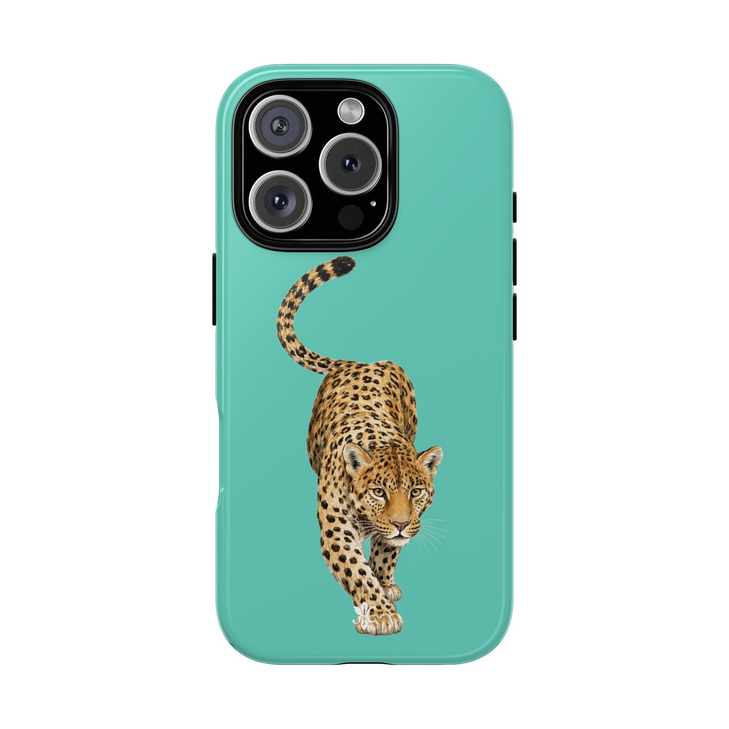Cheetah