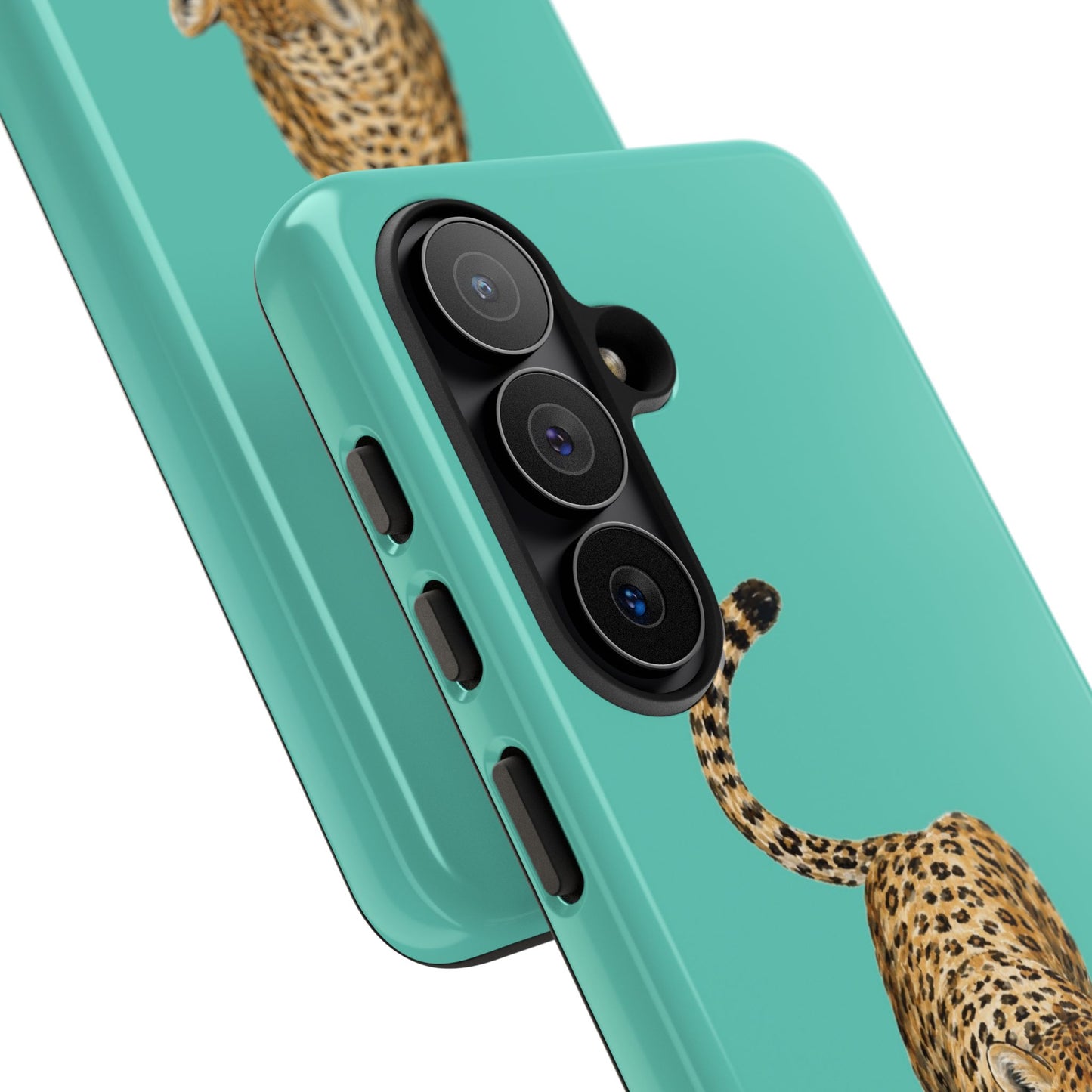 Cheetah