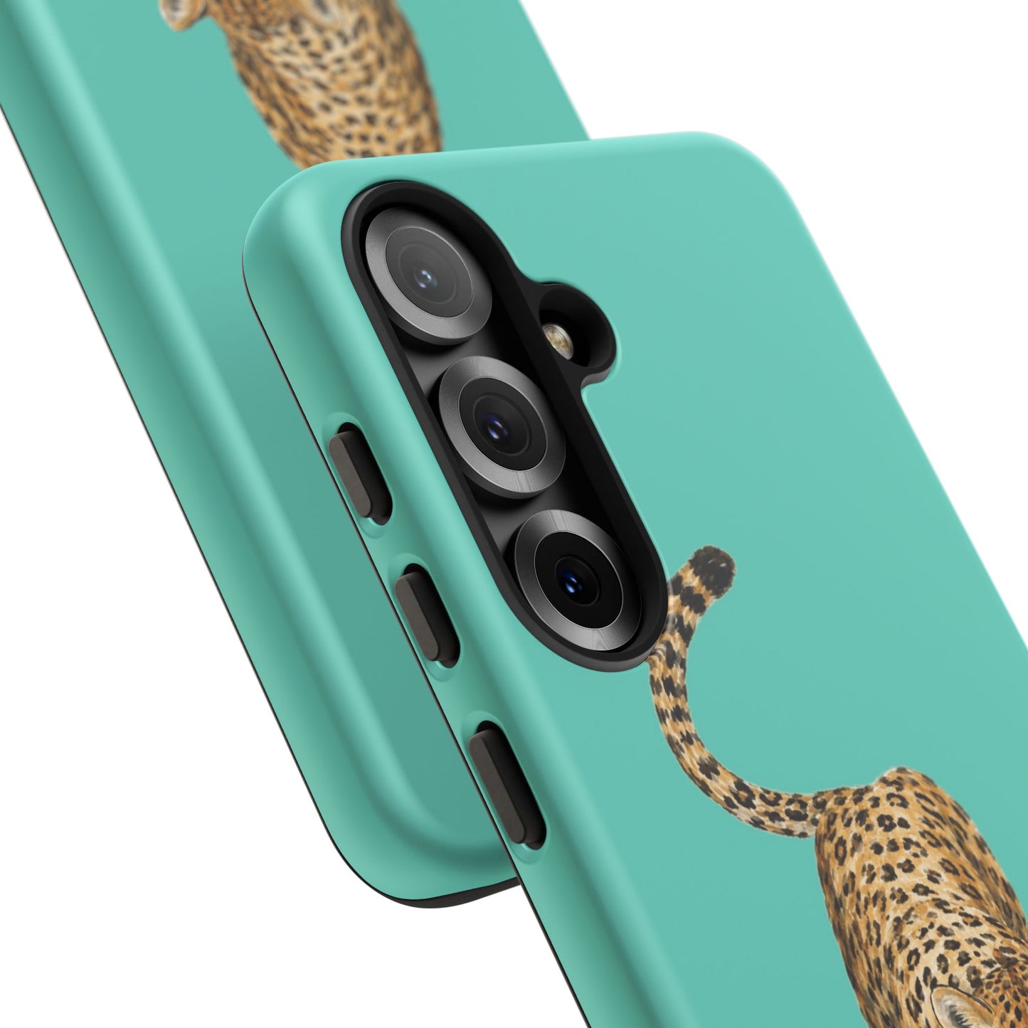 Cheetah