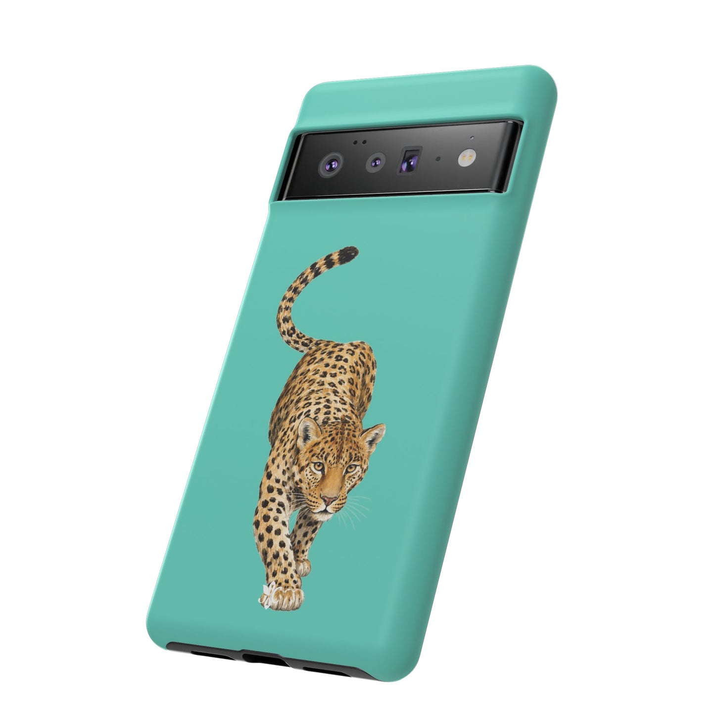 Cheetah