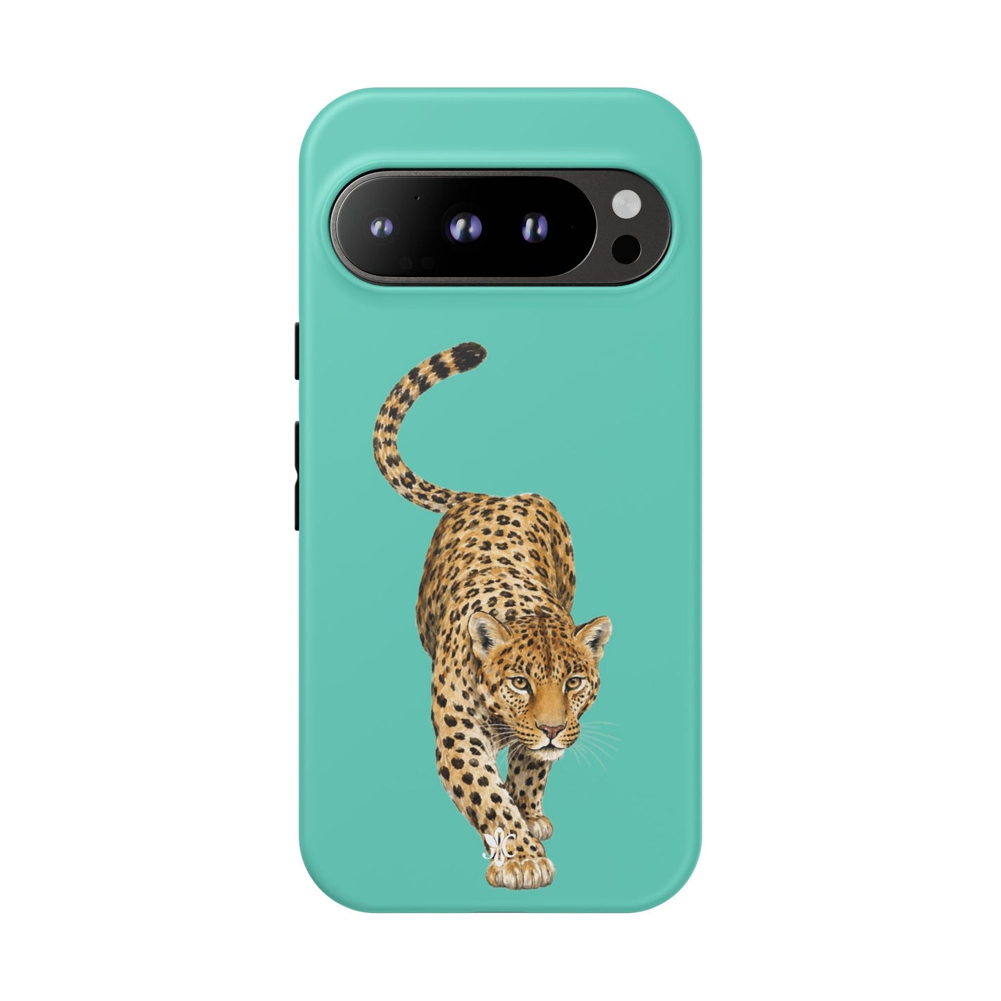 Cheetah