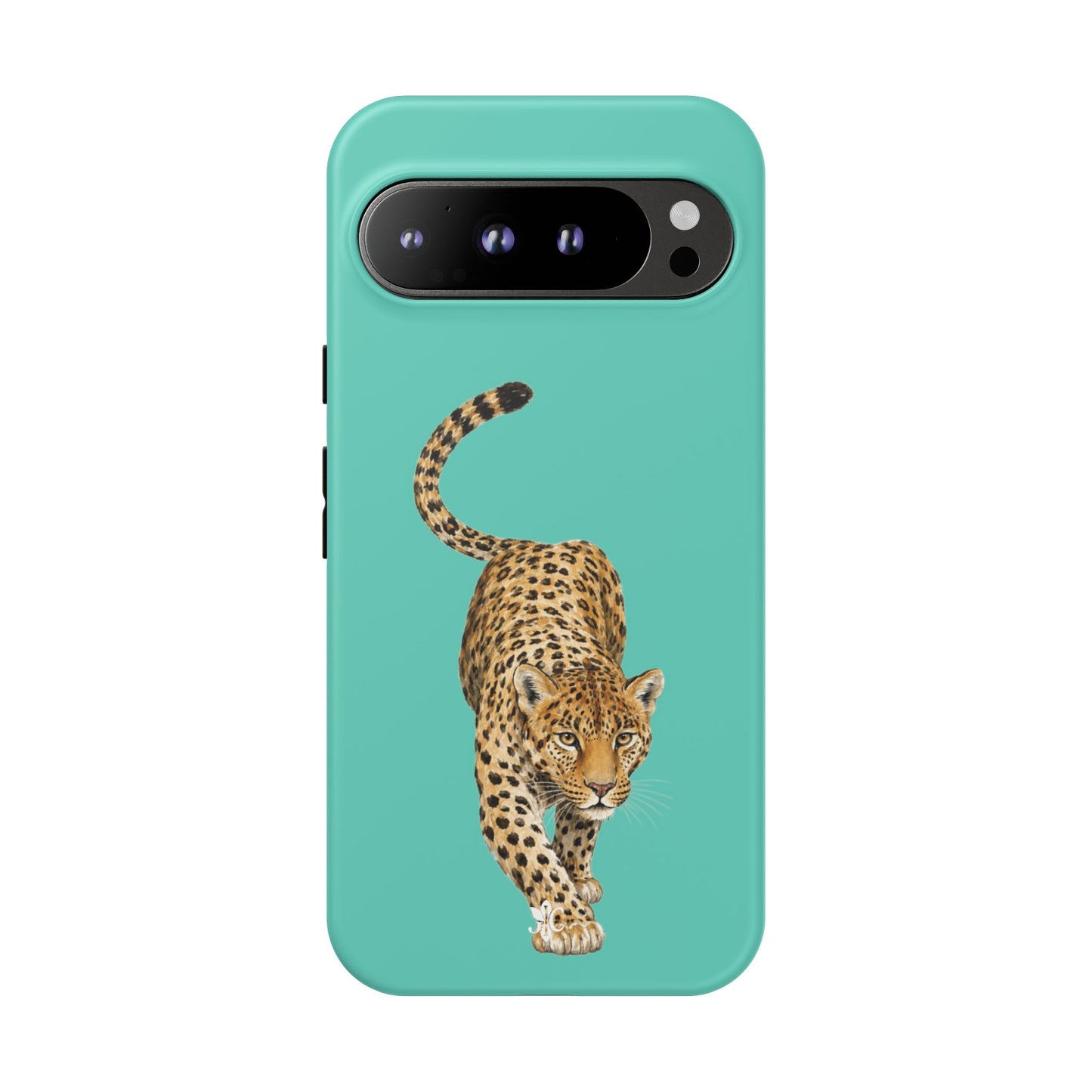 Cheetah