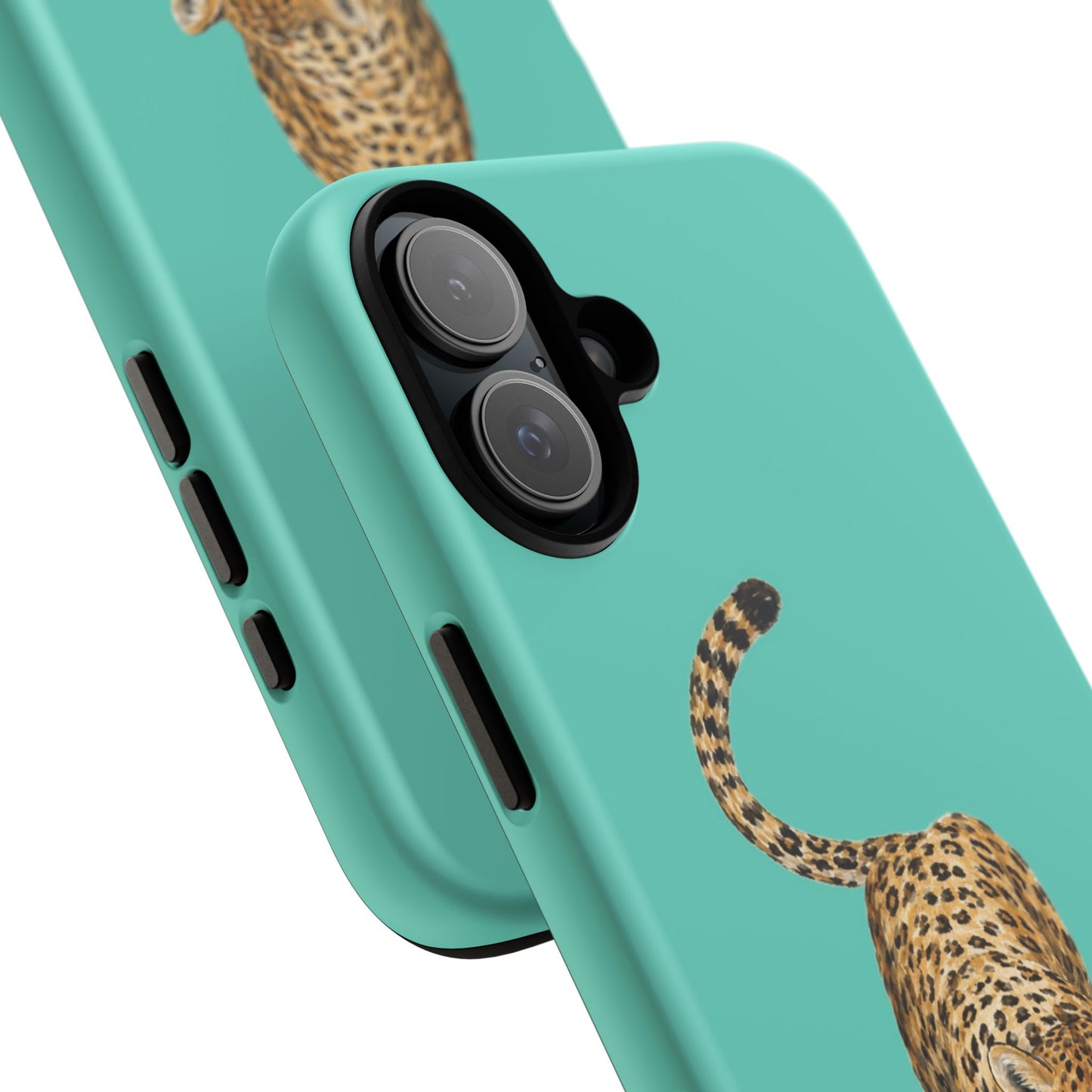 Cheetah
