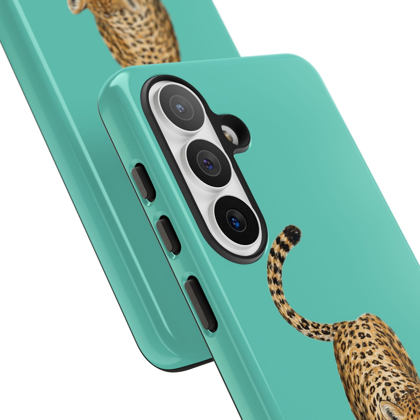 Cheetah