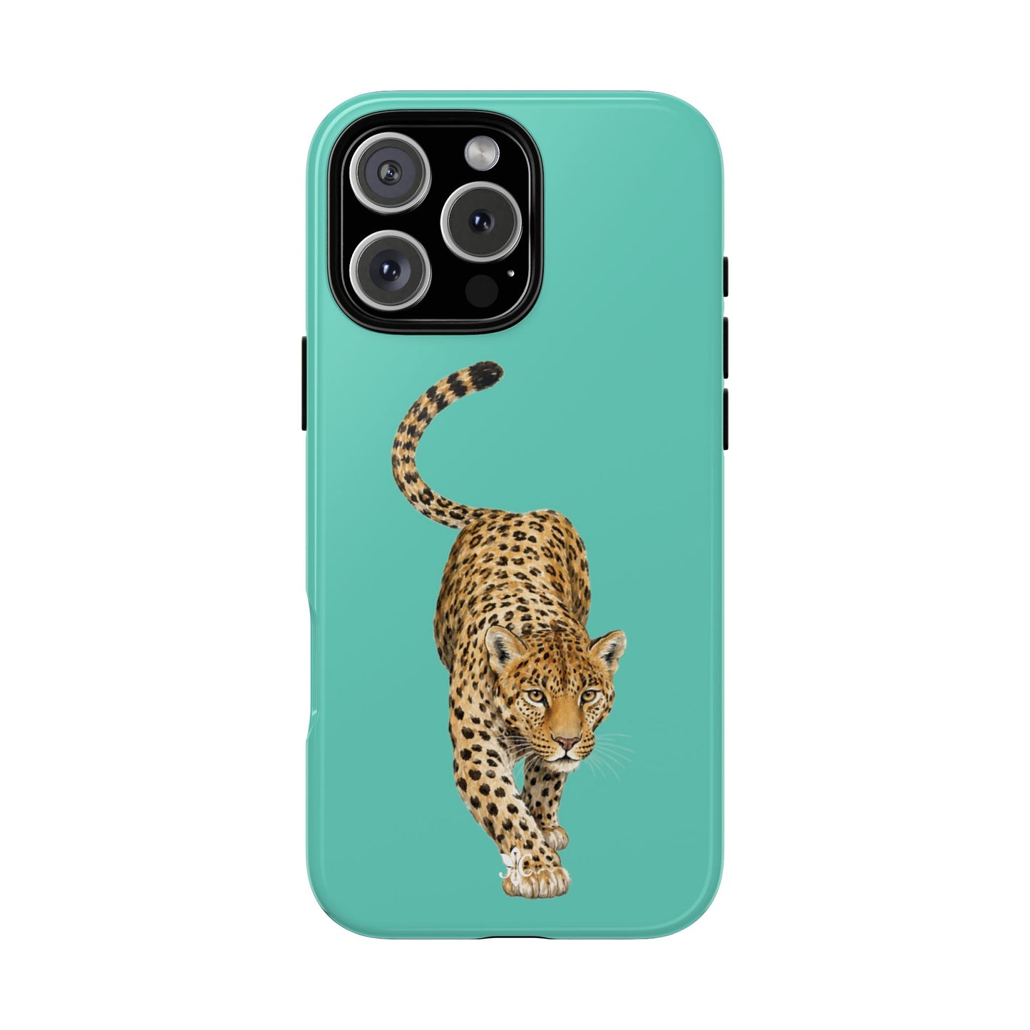 Cheetah