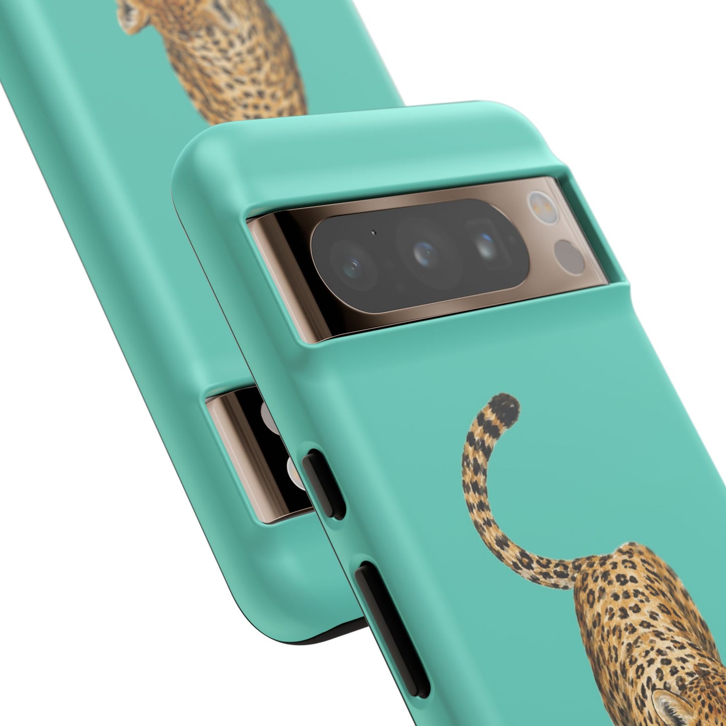 Cheetah