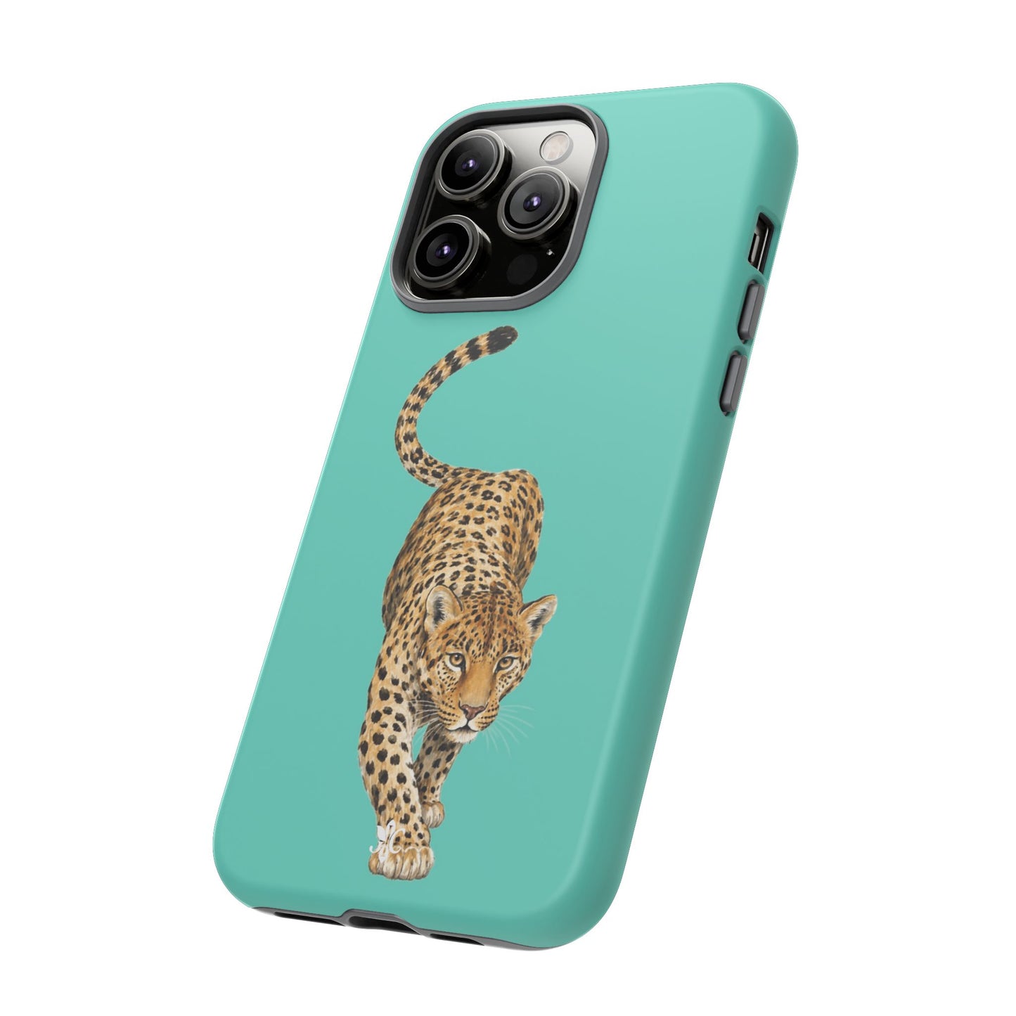Cheetah