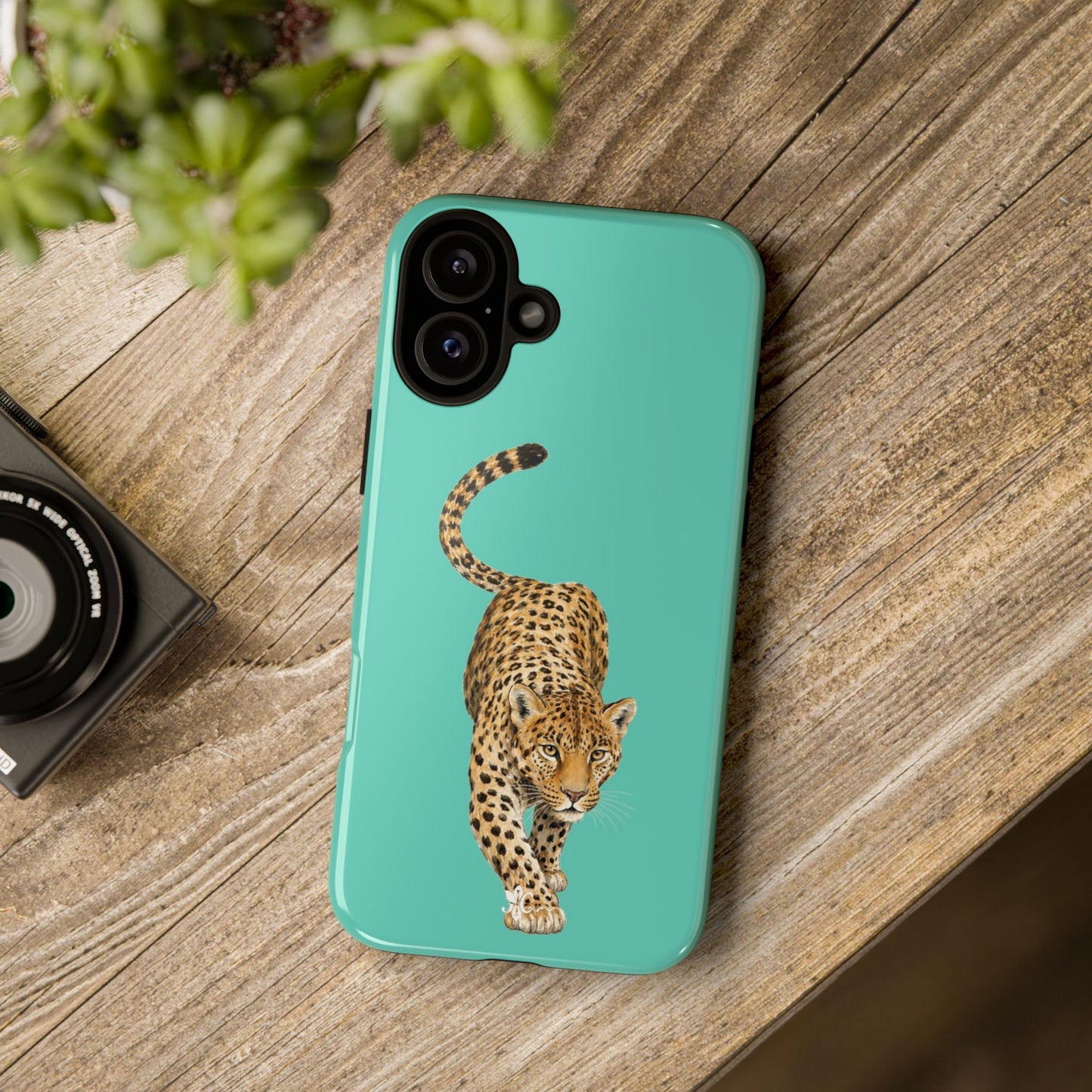 Cheetah