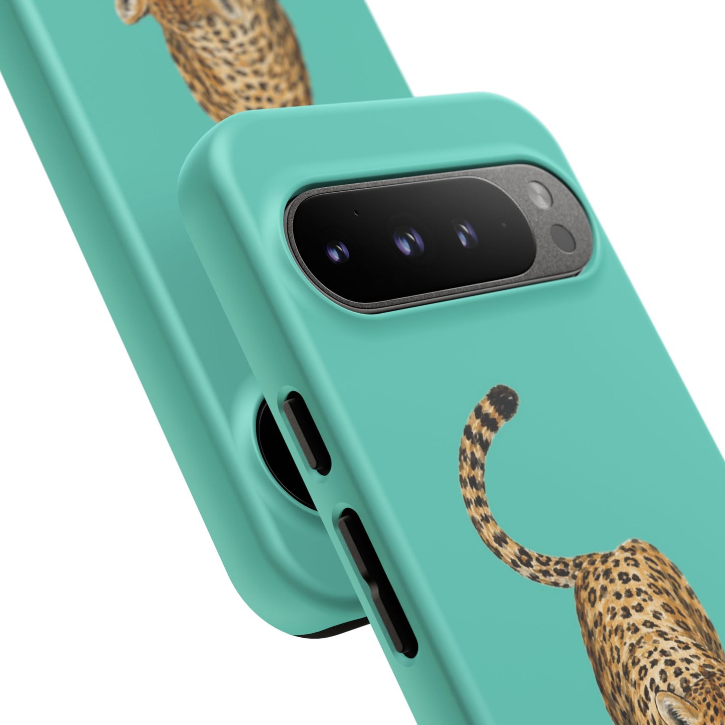 Cheetah