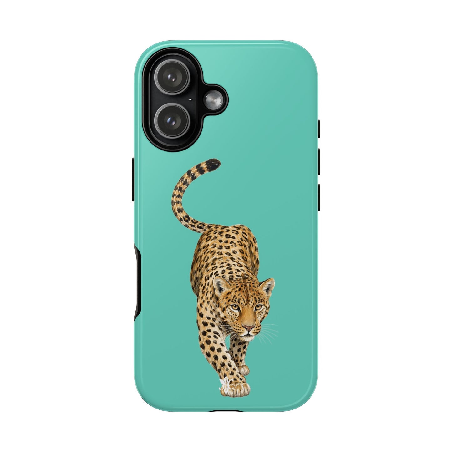 Cheetah
