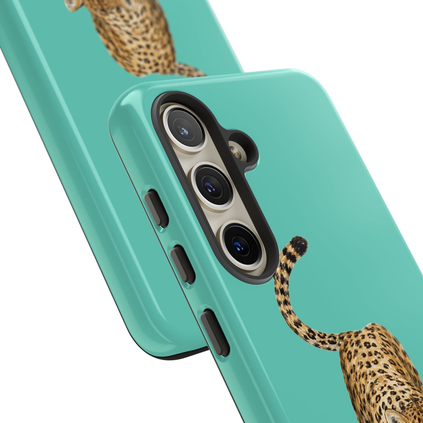 Cheetah