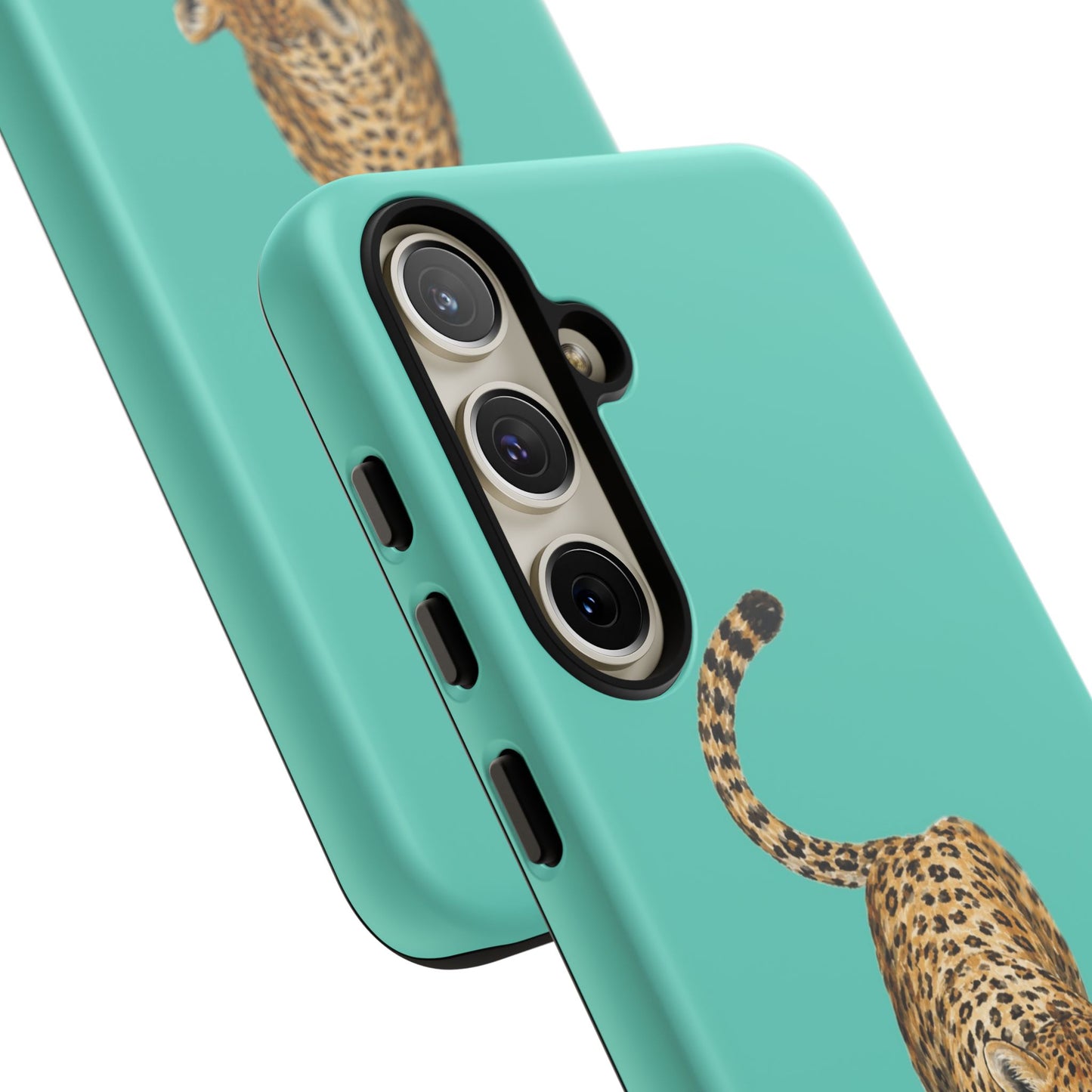 Cheetah