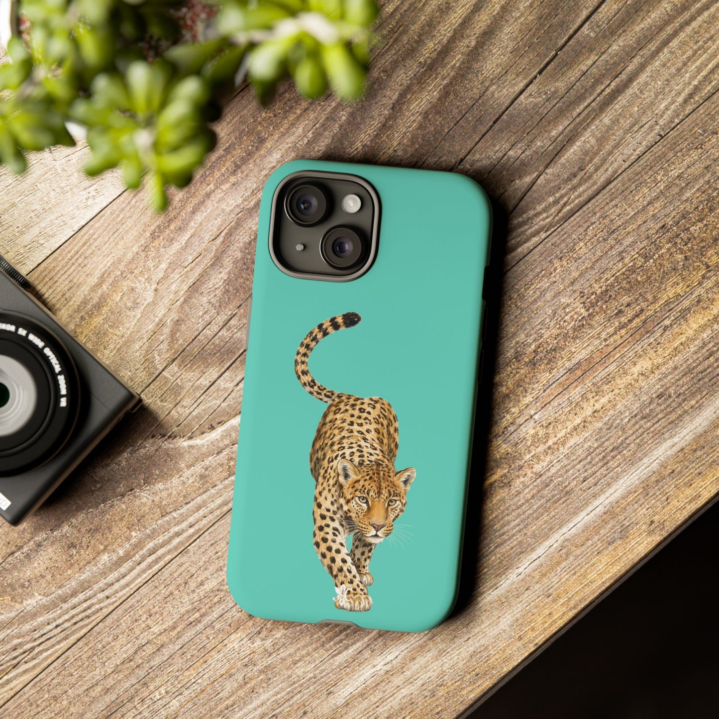 Cheetah