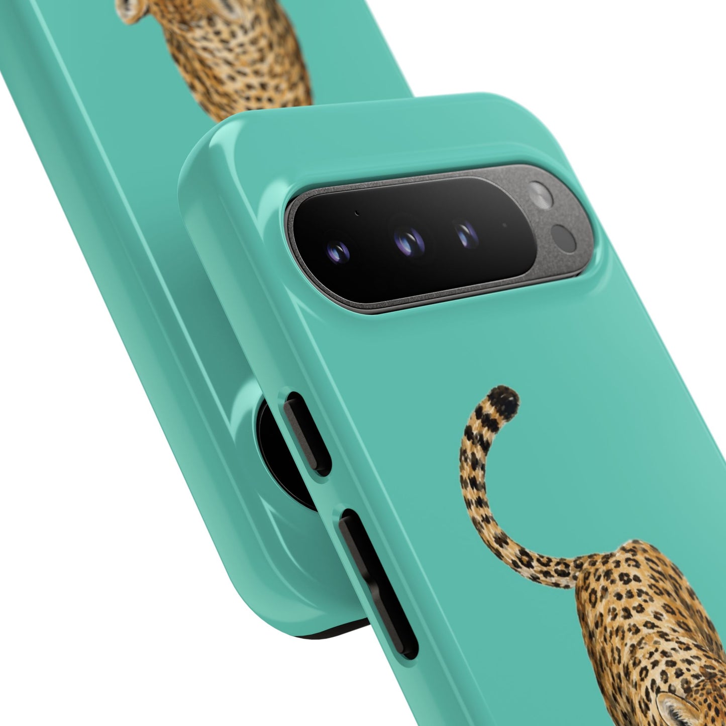 Cheetah