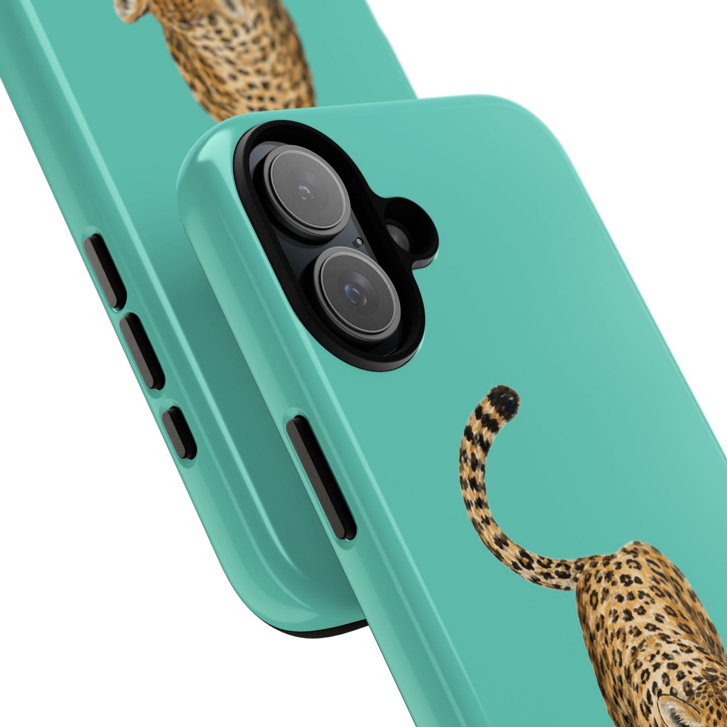 Cheetah