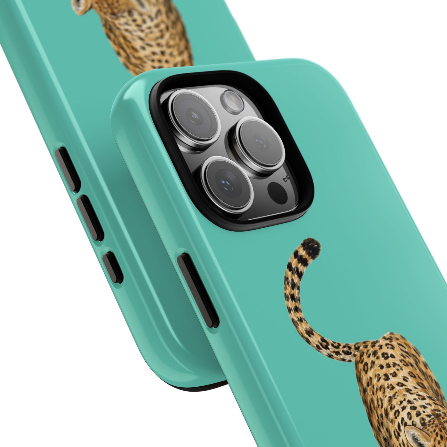 Cheetah
